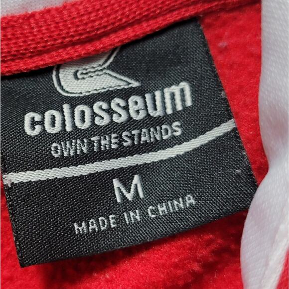 Colosseum Wisconsin Embroidered Sweatshirt Hoodie Fleece Size Medium Badger - Picture 5 of 6